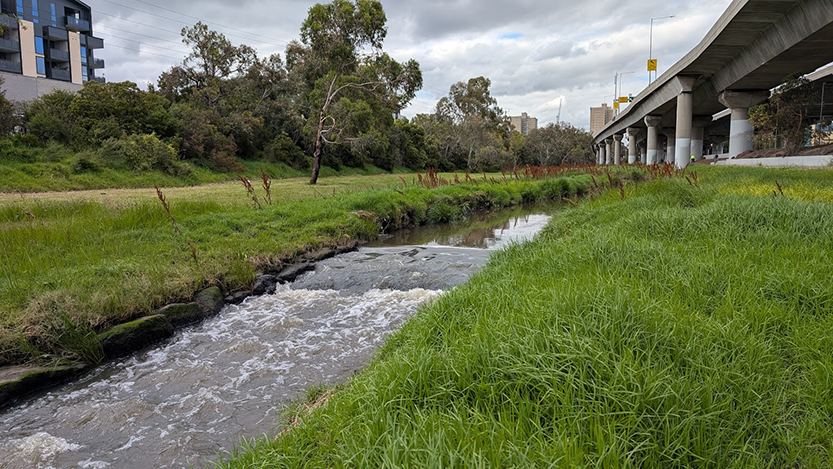 Trekking through North and West Melbourne to Geelong, and fording the Moonee Ponds Creek