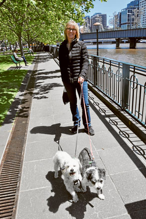 Suburban dogs turned city