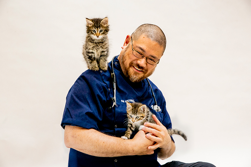 Ninetieth anniversary of the Lort Smith Animal Hospital