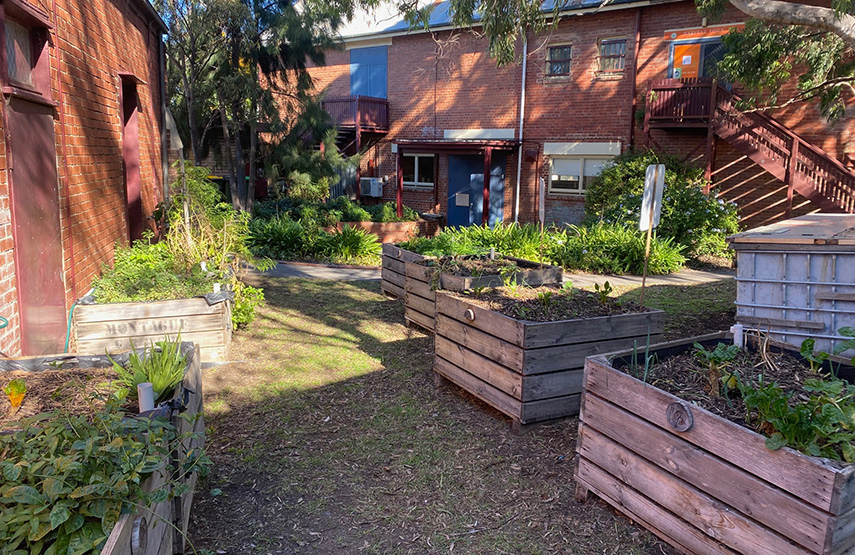 Garden rules to green inner north-west streets