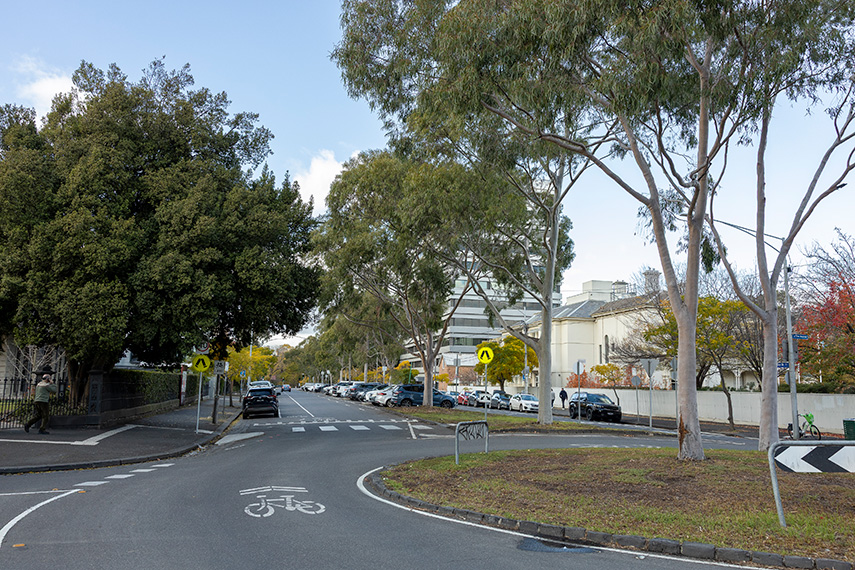 Draft urban forest plan looks to protect Parkville’s green character