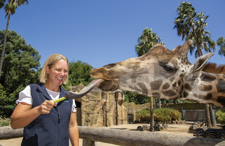 Union launches petition against zoo cuts
