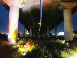 Docklands sees the light