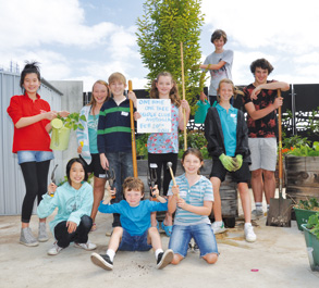 One tree for Docklands