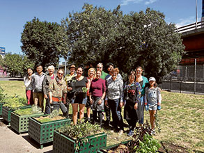 Like living sustainably?