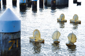 Public art is on the rise