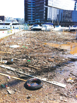 What a load of rubbish!