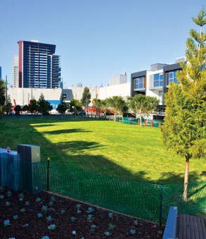 Where the grass is greener …