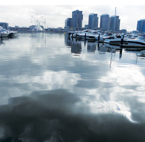Docklands waterways are beautiful - on the inside