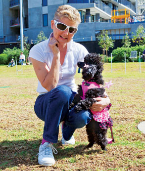 Docklands’ dogs have a day out