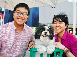 Ella, the Docklands dream dog