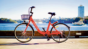 More share bikes coming
