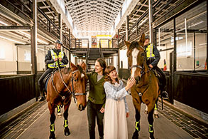 From horses to courses