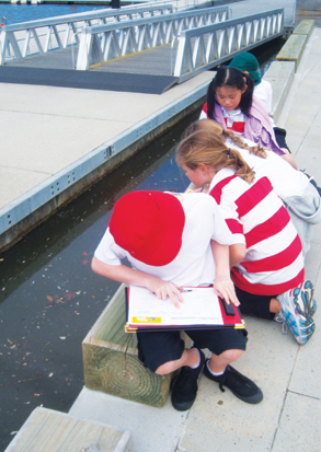 Students try to seal the loop
