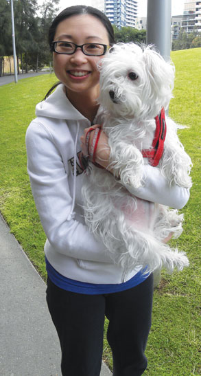 A pup named Ponyo