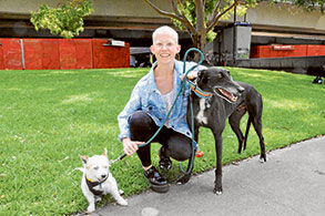 When dog becomes family
