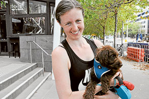 Training a therapy dog