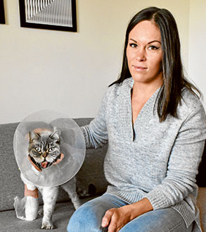 Cat survives 18-storey fall