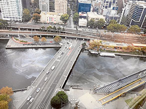 River pollution causes a stink