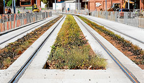 Boulevard project delayed