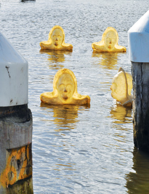 Rising returns to Victoria Harbour