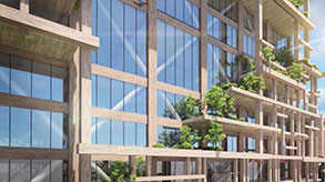 Timber proves a stumbling block