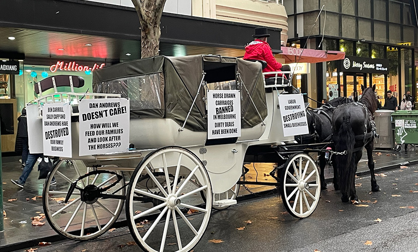 Horse-drawn carriages banned in the CBD