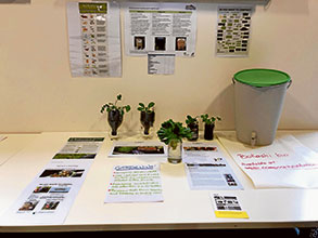 Open House with environmental flair