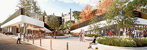 Locals shape hospital vision