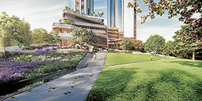 Council settles its park dispute