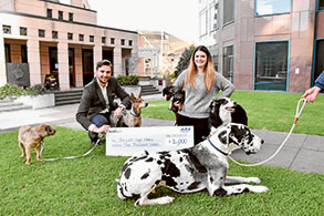 Doggy donation