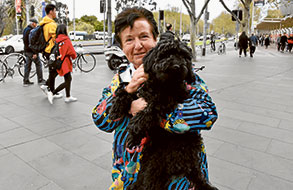 Ballet poodle survives snip
