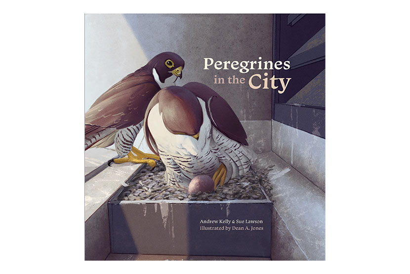 A dive into the drama of being an urban predator