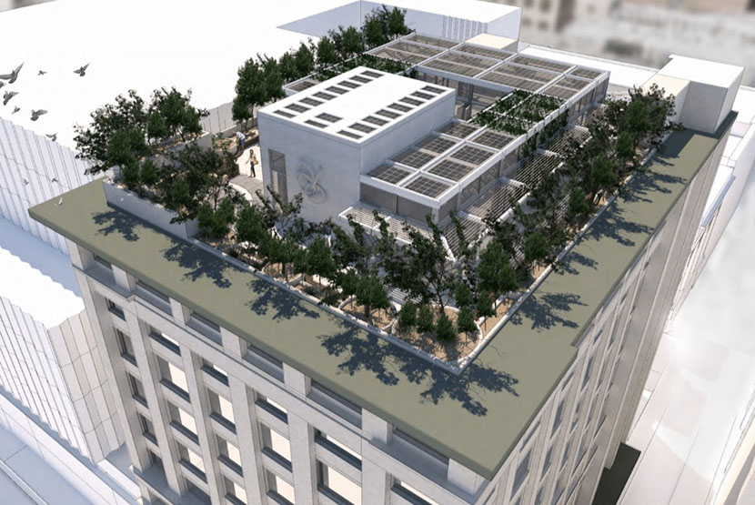Last bid to save the Nicholas Building before the election