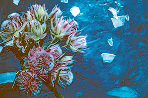 Falling into flowers