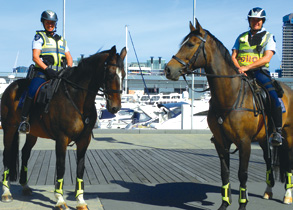 Clippity clop, here come the cops