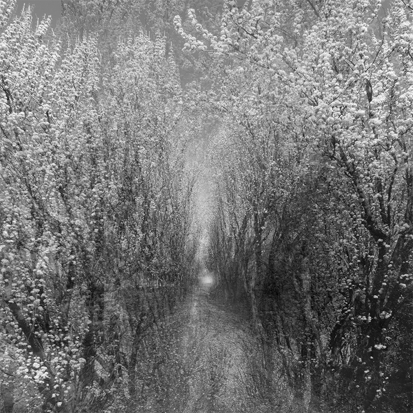 Marg Alexander reignites her love of photography at PSC