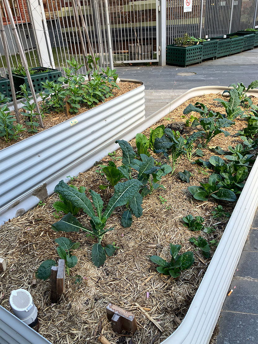 Championing the four pillars of sustainability