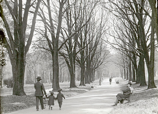 A winter’s walk in Fitzroy Gardens, 1913