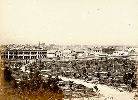 Rediscover the Flagstaff Gardens