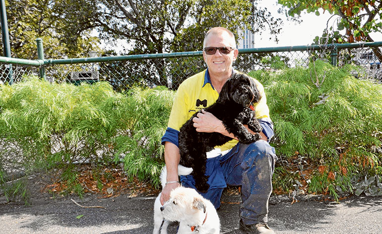 Friendly dogs call Flagstaff Gardens home
