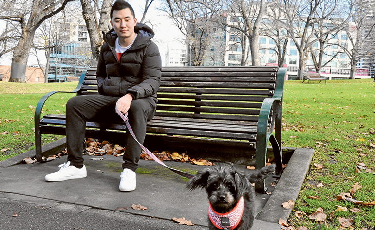 Active dog the perfect companion