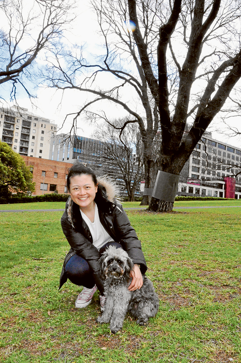 Dog-sitting in the CBD