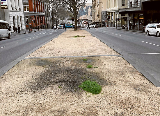 City gardens, trees and street trees