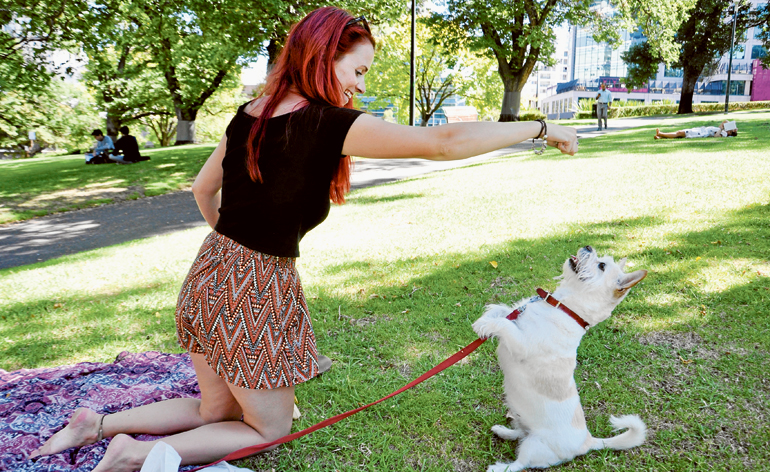 Friendship ambassador in Flagstaff Garden – the girl Gir