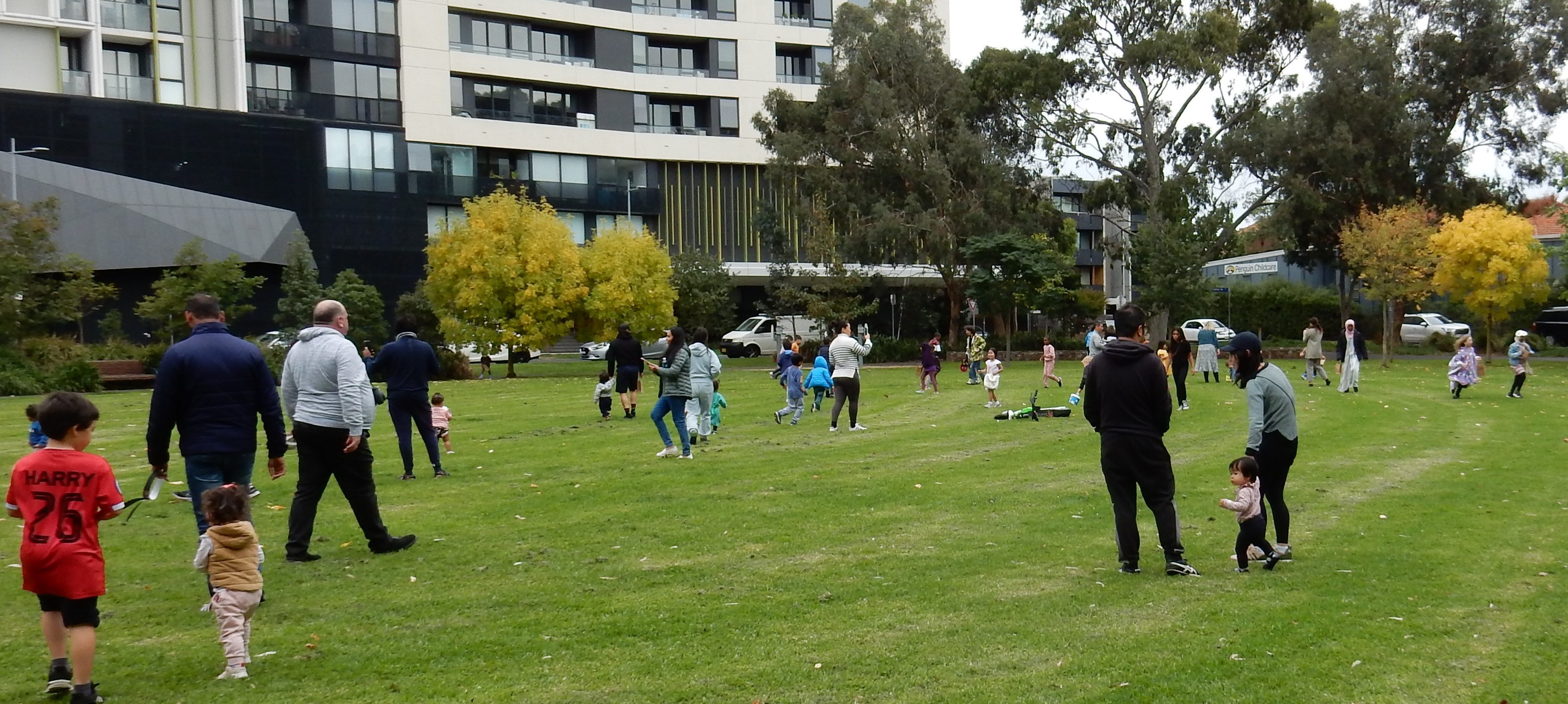 Improving safety in Royal Park