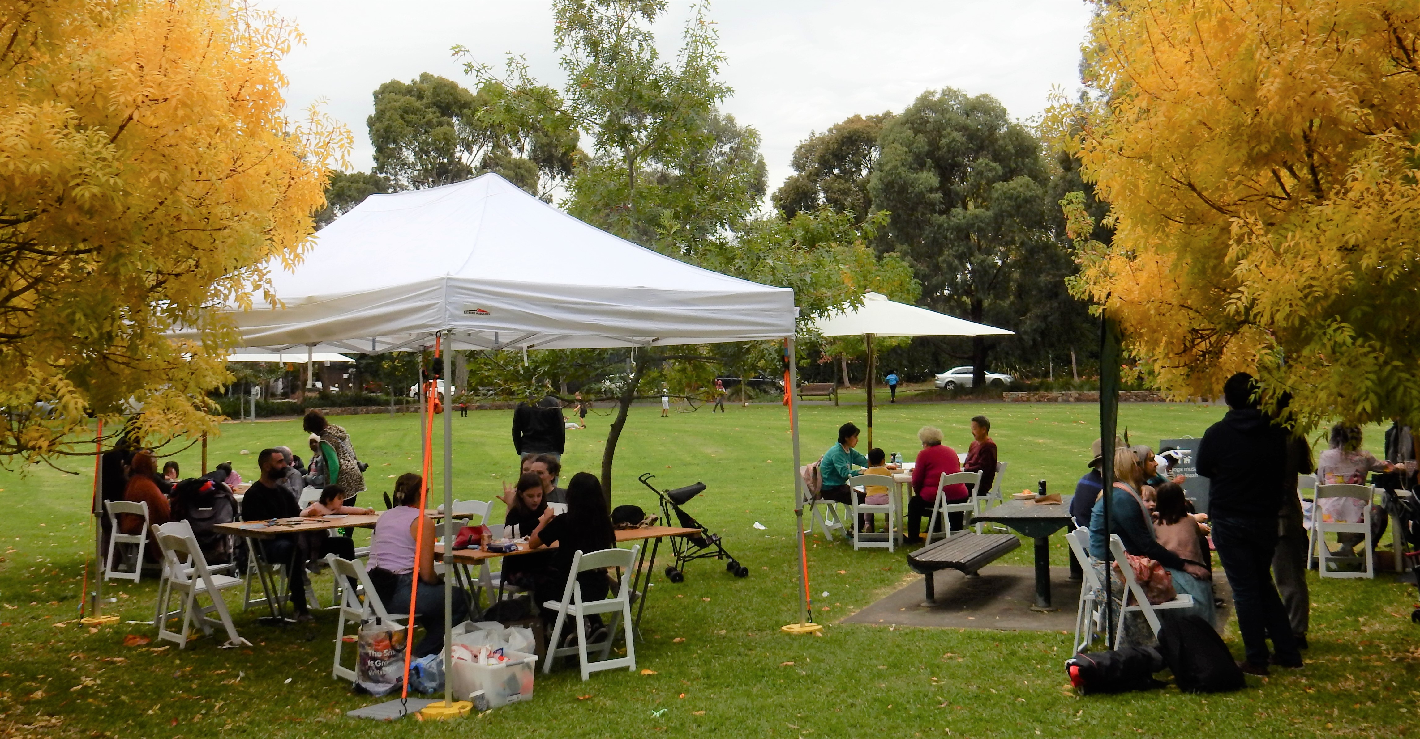 Improving safety in Royal Park