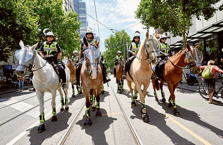 Police mark the city a “designated area”