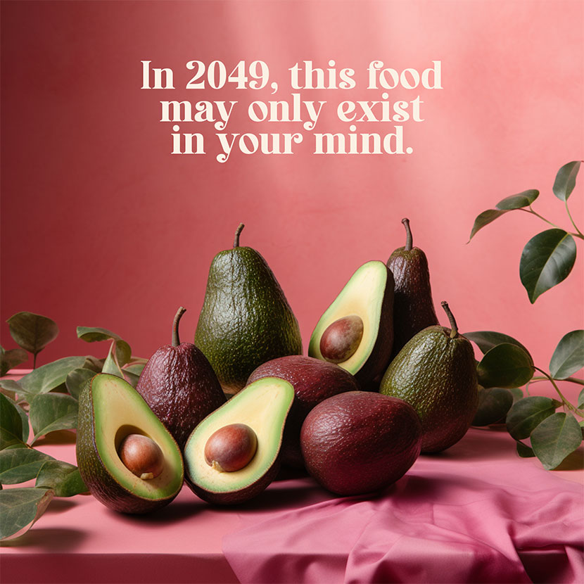 New exhibition questions where AI may take the future of food