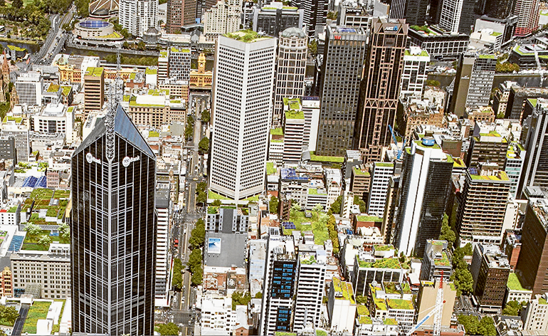 Concrete jungle could become actual jungle